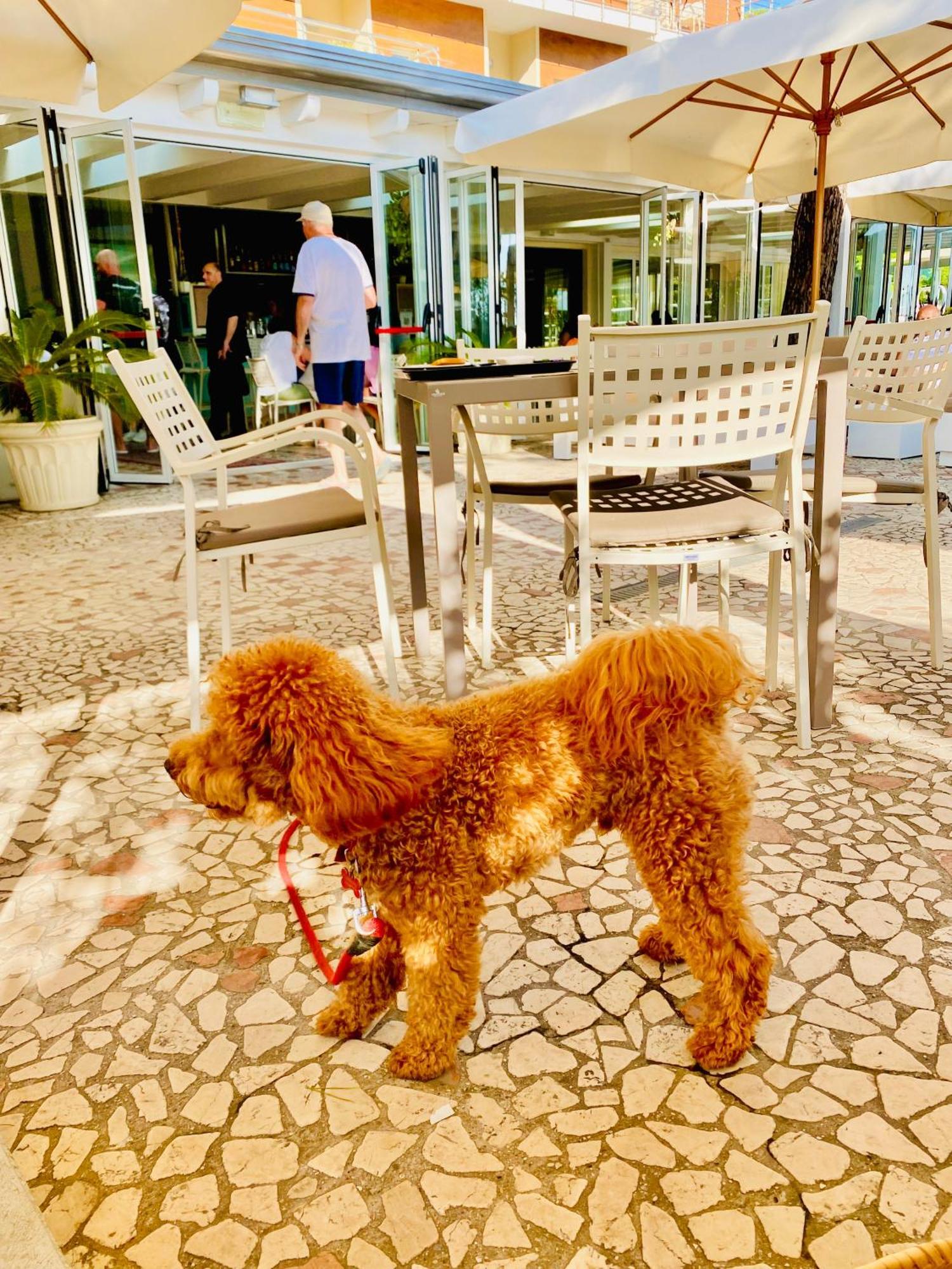 Hotel Franca ミラノ・マリッティマ エクステリア 写真